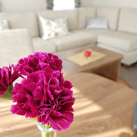 Tatil parkı Chalet 551 Typ C Am Kransburger See Kransburg